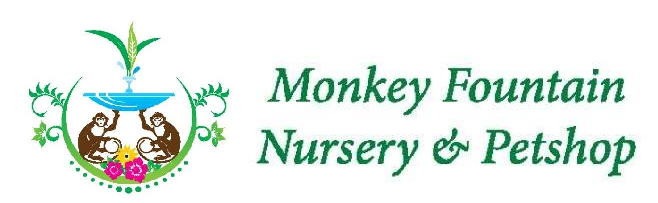 Monkey Fountain Nursery Monkey Fountain Nursery